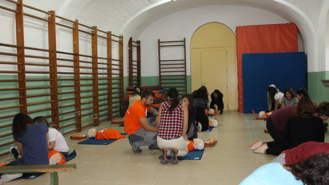 dipsalu t cf
