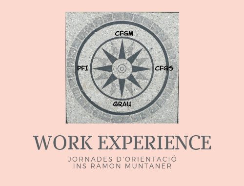 WORK EXPERIENCE