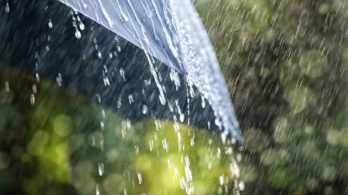 top-10-things-to-do-when-its-raining-in-puerto-vallarta-2019