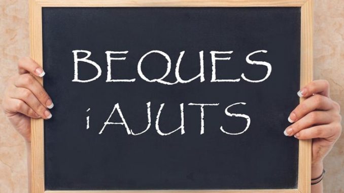 beques-i-ajuts